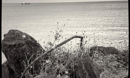 Untitled Untitled