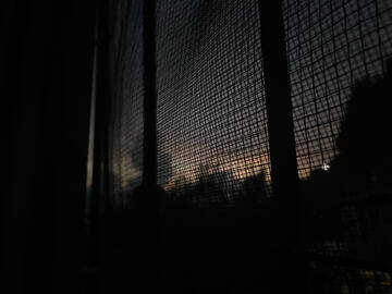 Home Home